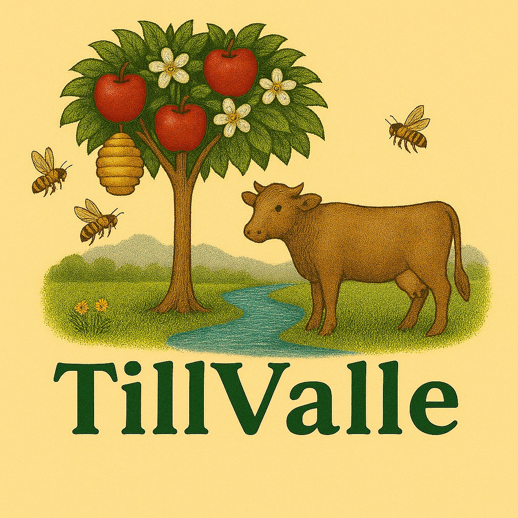 TilleValle Logo